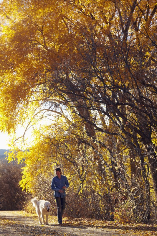 Woman walking her dog in forest. Colorado, USA.
Photo : Kelly