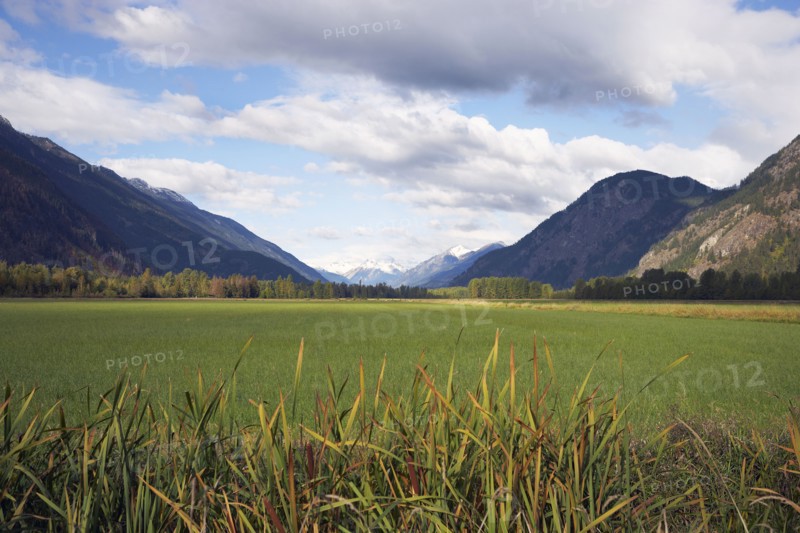Pasture surrounded by mountains. British Columbia, Canada.
Photo : Kelly