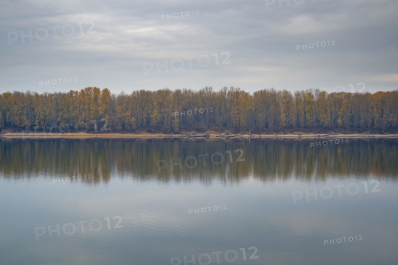Forest reflecting in tranquil water. Columbia River, Oregon, USA.
Photo : Gary Weathers