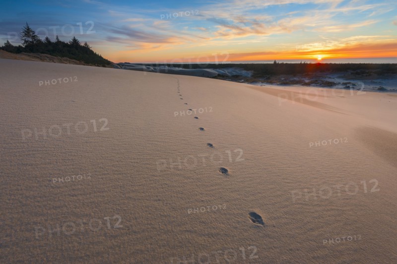 Footsteps on sand dune during sunset. Oregon, USA.
Photo : Gary Weathers