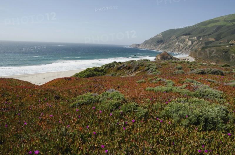Tranquil seaside.
Photo : Tetra Images