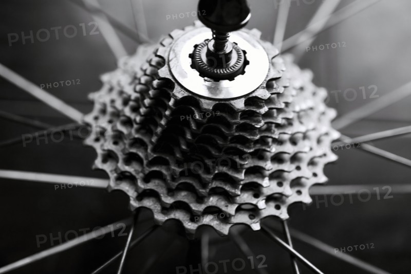 Close-up of bicycle gears.
Photo : Maisie Paterson