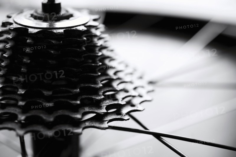 Close-up of bicycle gears.
Photo : Maisie Paterson