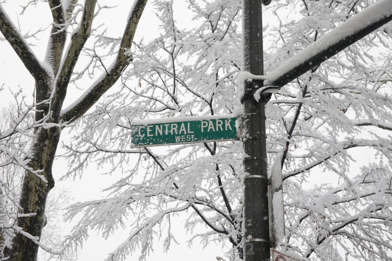 Low angle view of Central Park sign.
Photo :  Winslow Productions