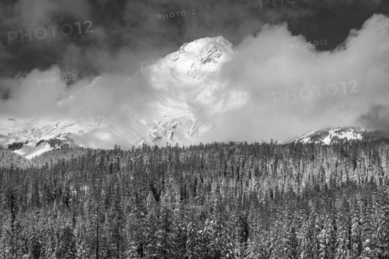 View of Mt Hood.
Photo : Gary Weathers
