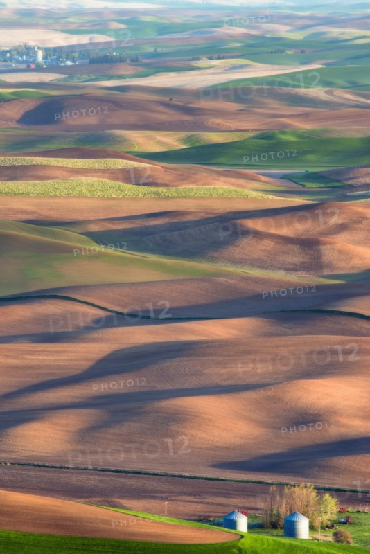 Farm on wheat field.
Photo : Gary Weathers