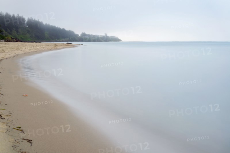 View of seashore.
Photo : Gary Weathers