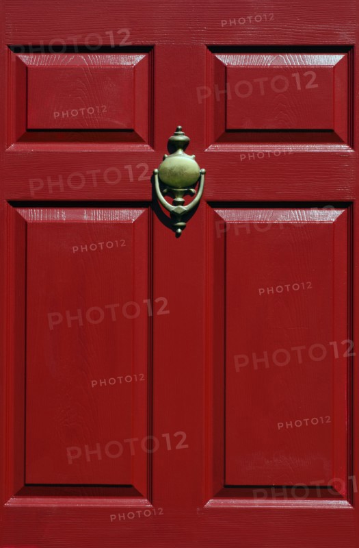View of door knocker.
Photo : Tetra Images