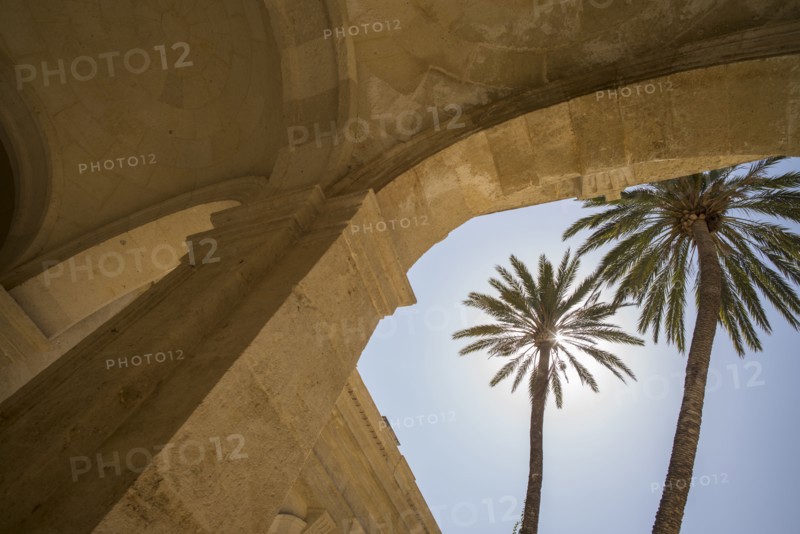 Palm trees in front of Cathedral of Almeria. Almeria, Spain.