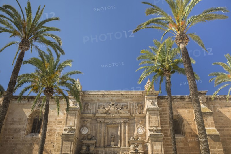 Palm trees in front of Cathedral of Almeria. Almeria, Spain.