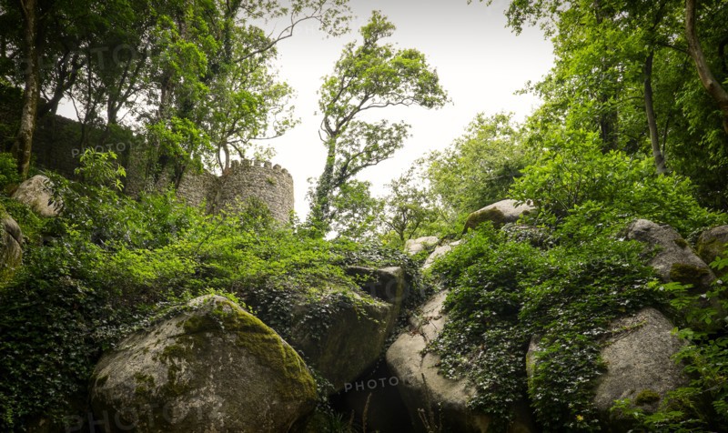View of Moorish Castle. Sintra, Portugal.