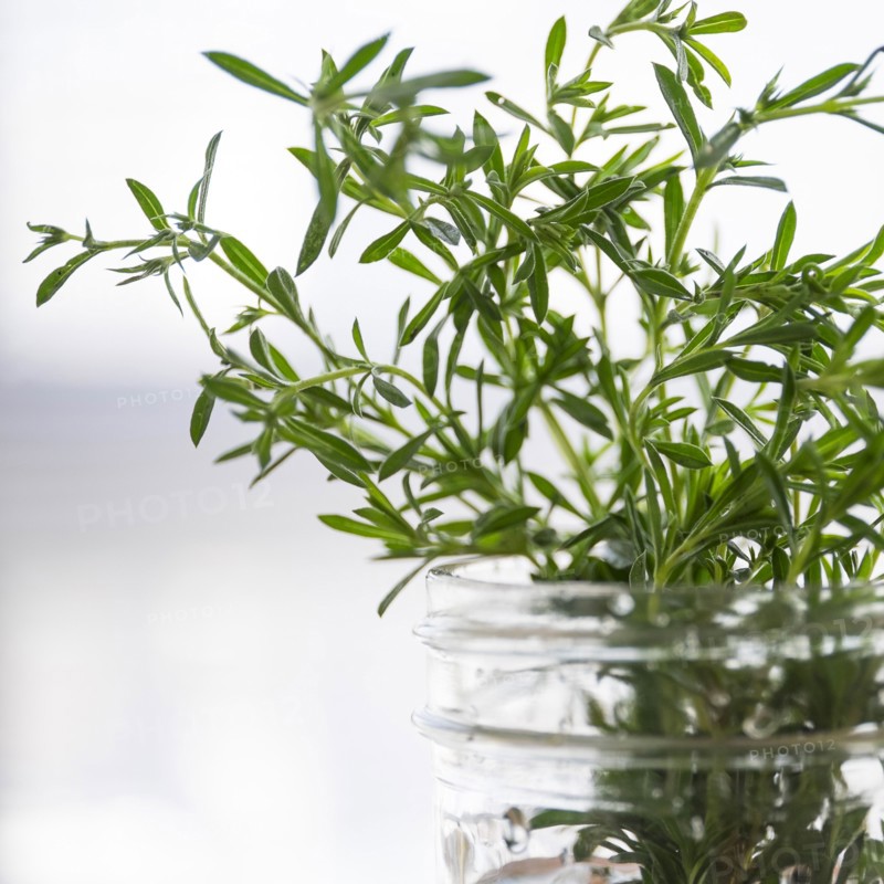 Rosemary in jar.