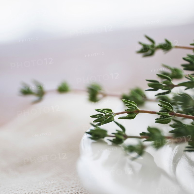 Thyme on plate.