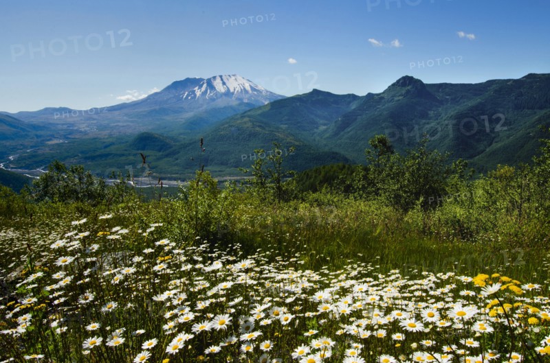 Mount St Helen's
