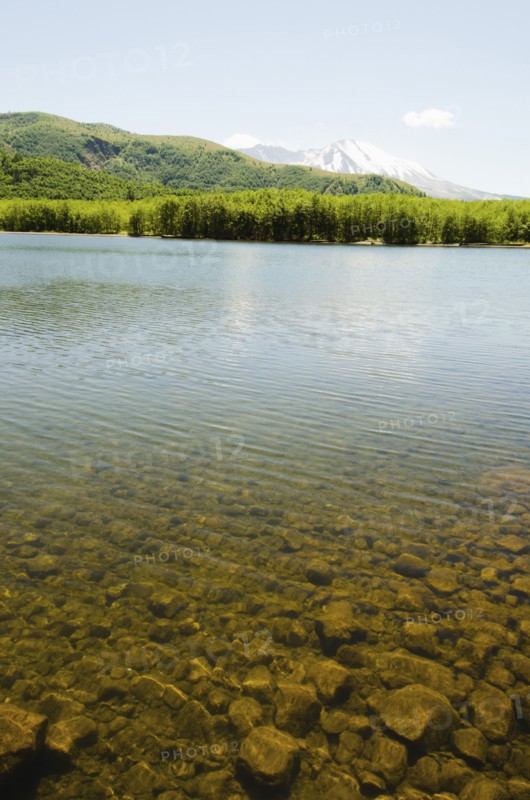 Mount St Helen's