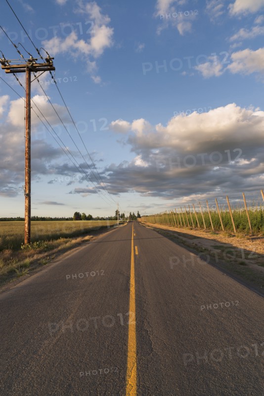 Empty road in diminishing perspective