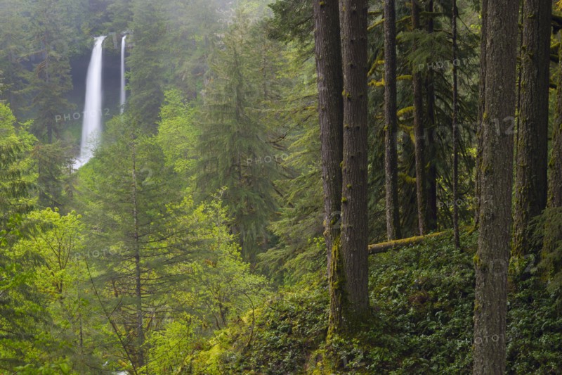 Silver state park with waterfall in background