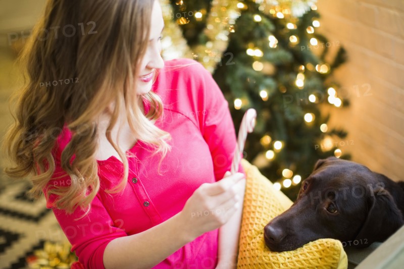 Woman showing candy cane to chocolate Labrador at Christmas