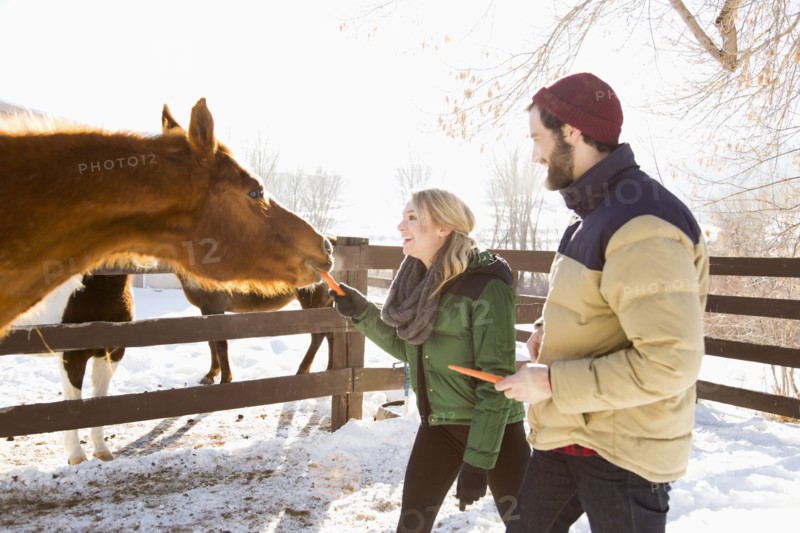 Young couple feeding horse with carrots