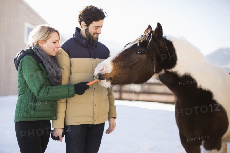 Young couple feeding horse with carrot