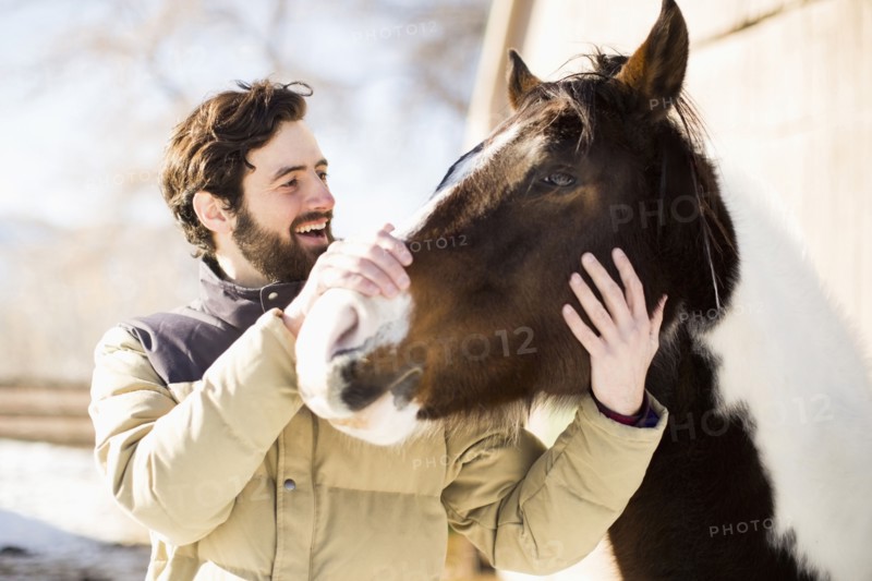 Man stroking horse