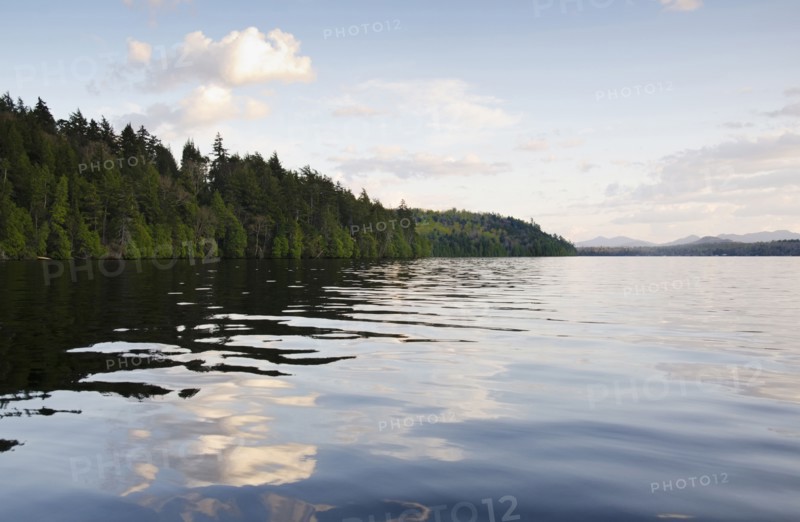 Clouds and forest reflecting in lake