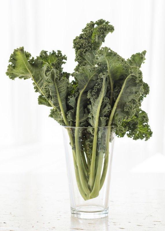 Studio shot of kale leaves in glass.