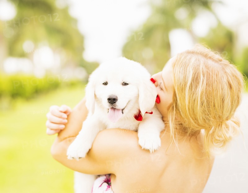 Close-up shot of young woman embracing white puppy