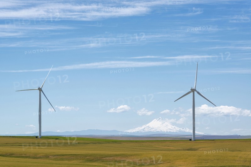 Wind turbines at green field with mountain on background