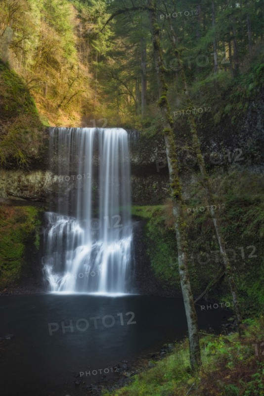 Silver Falls State Park, View of waterfall in forest