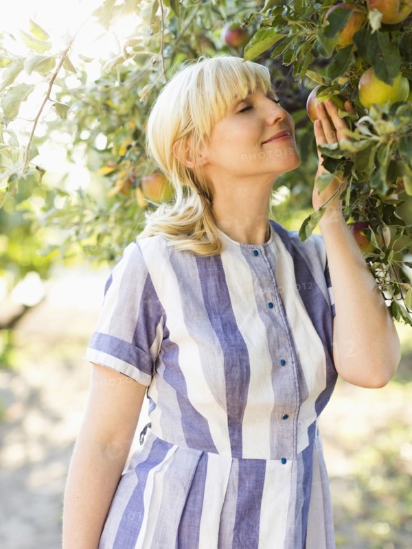 Woman picking apples in orchard