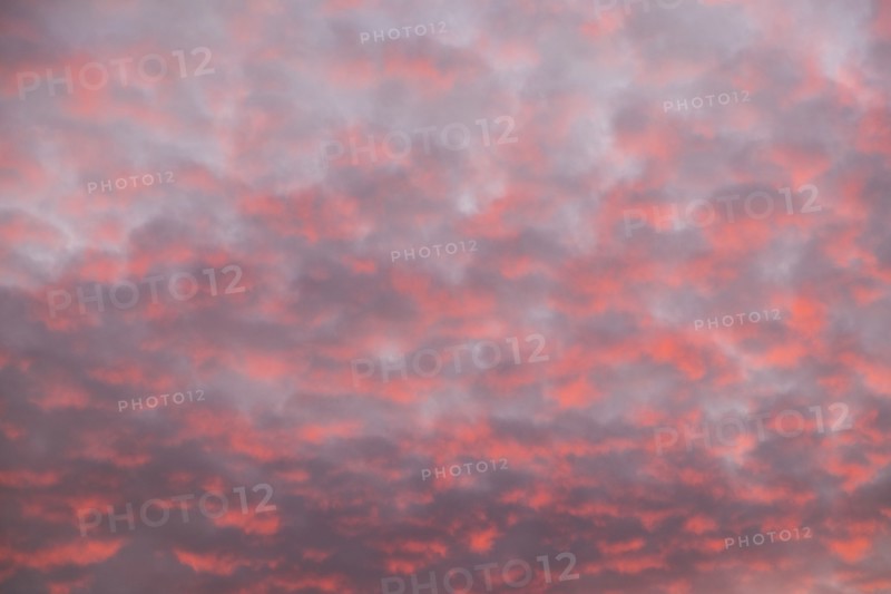 Pink clouds on sky at sunrise.