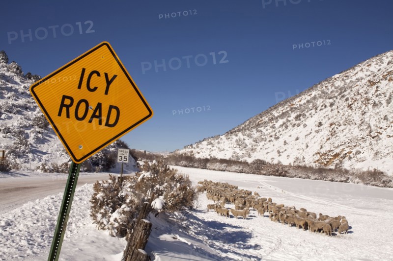 Road sign by snowcapped road in winter