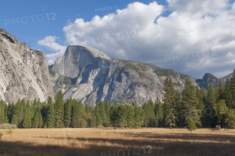 Scenic view of landscape