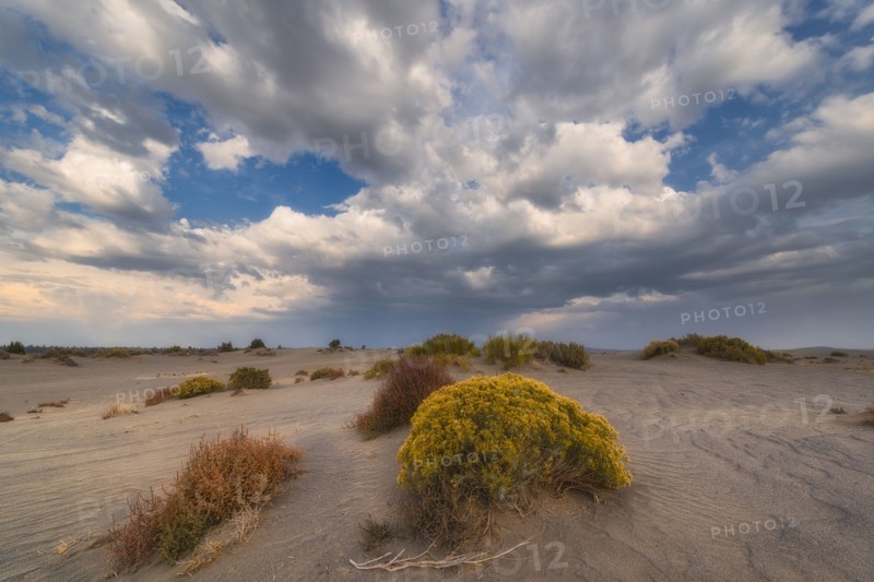 Scenic view of landscape