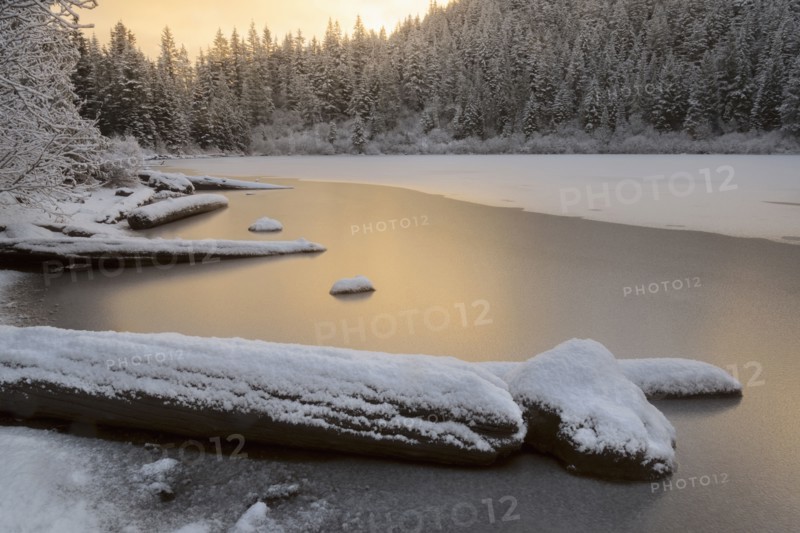 Scenic view of lake and forest in winter