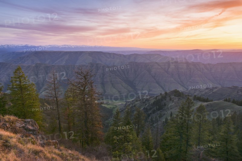 Scenic view of landscape at sunset