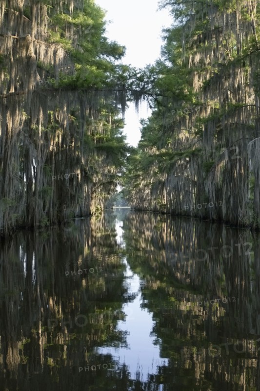 Scenic view of lake