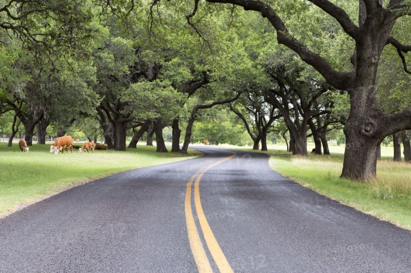 Empty road