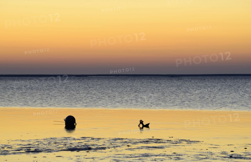 Buoy and anchor silhouetted on wet beach