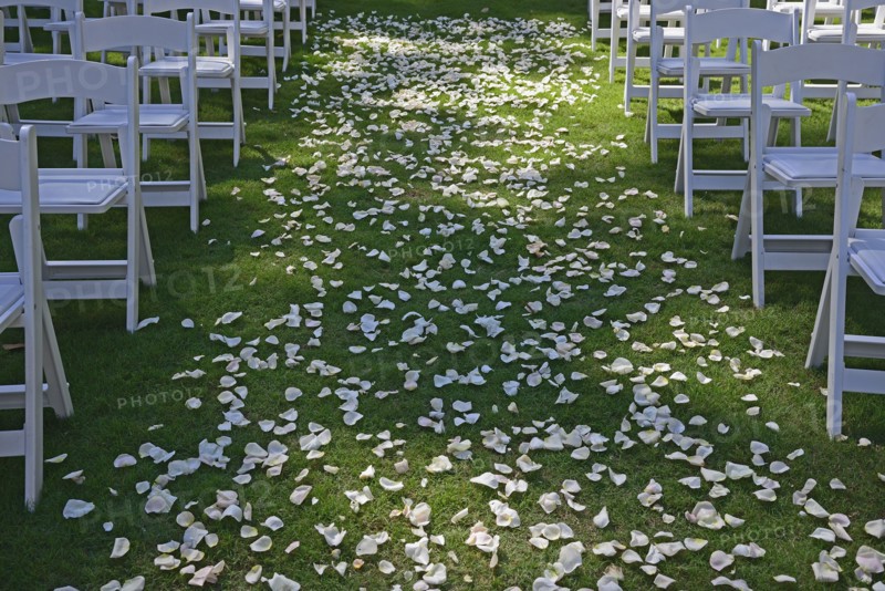 Flower petals on green lawn for wedding ceremony, chairs on sides, symmetrical image