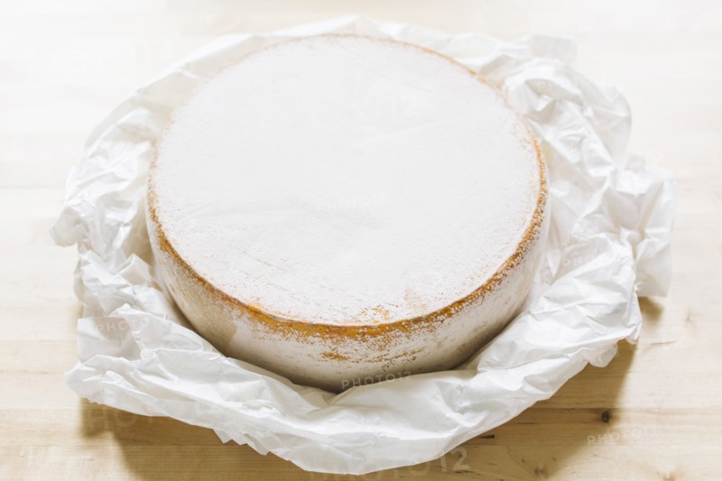 Close up of cheese circle