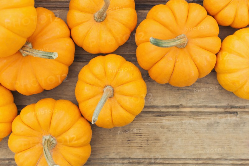 Overhead view of yellow pumpkins