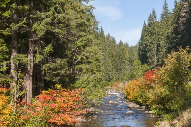 View North Satiam River