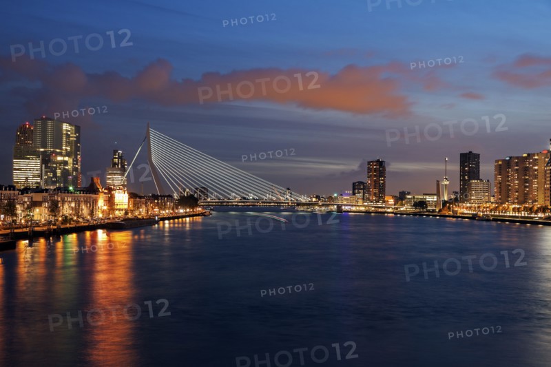 Erasmus Bridge