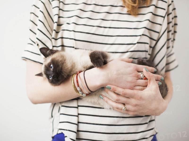 Woman holding Siamese cat