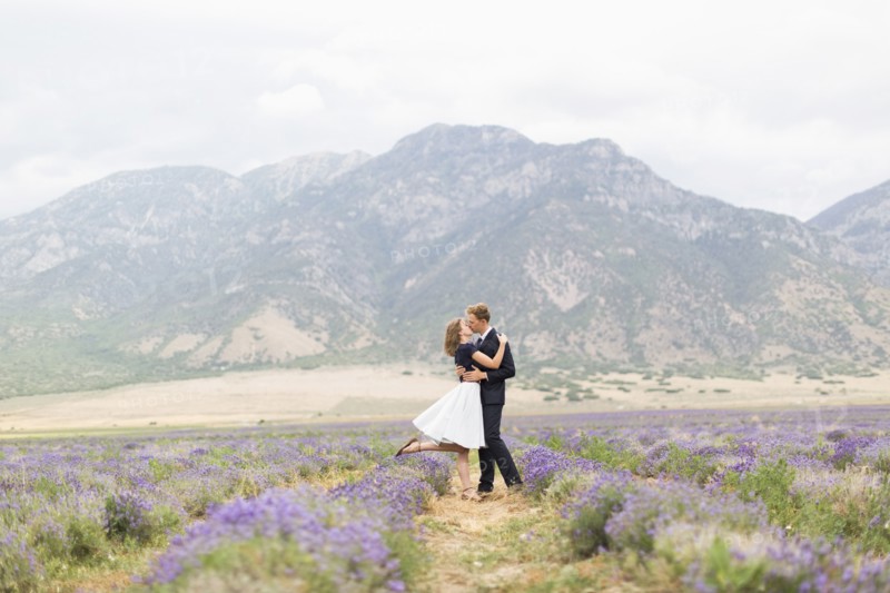 Newlywed couple kissing in lavender field with mountains on background
