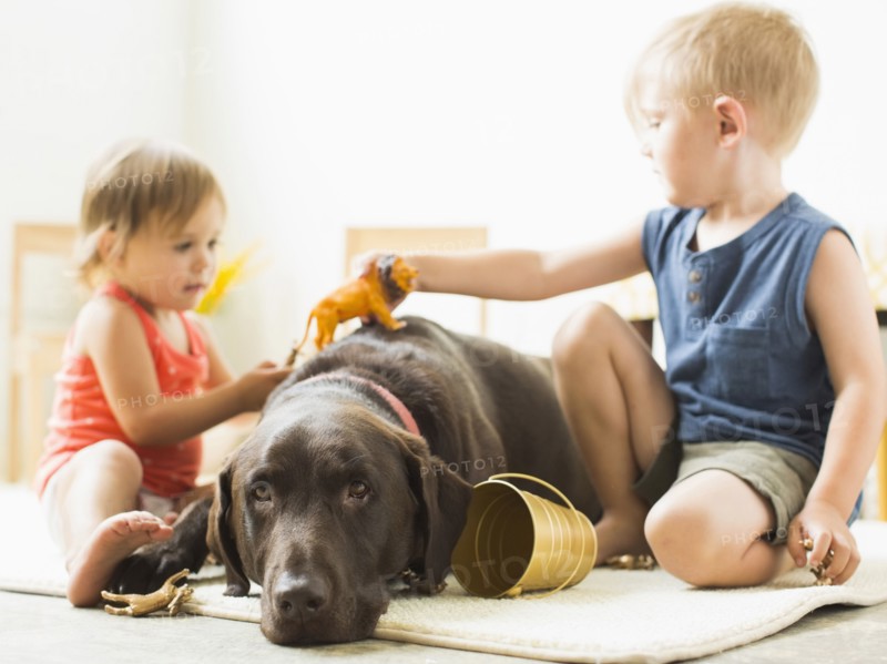 Children (2-3) playing with dog