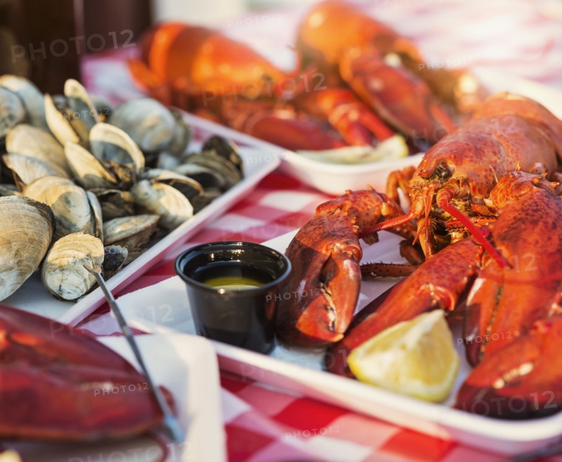 View of table with lobster meal