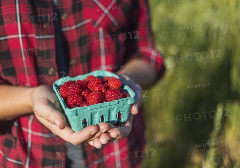 Mid section of woman holding punnet of raspberries